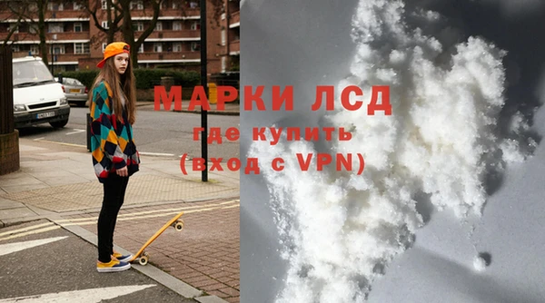стаф Магас