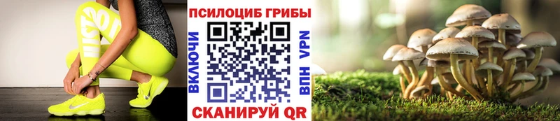 Псилоцибиновые грибы прущие грибы  как найти закладки  Сычёвка 